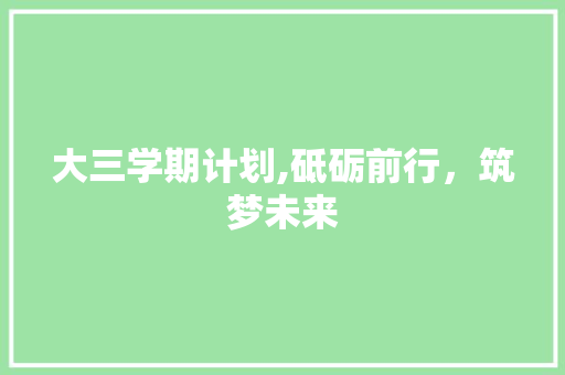 大三学期计划,砥砺前行，筑梦未来