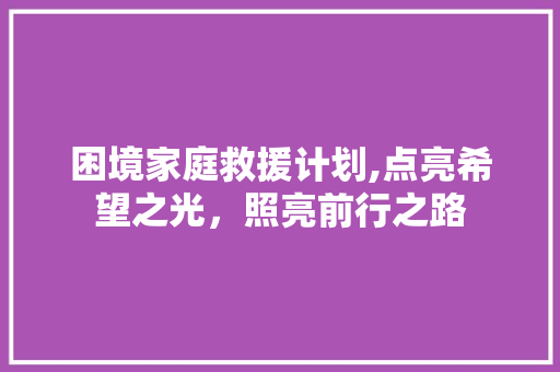 困境家庭救援计划,点亮希望之光，照亮前行之路