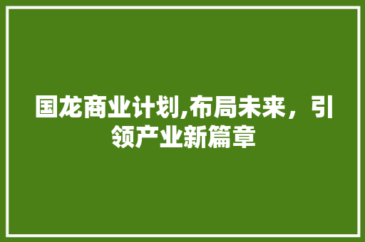 国龙商业计划,布局未来，引领产业新篇章