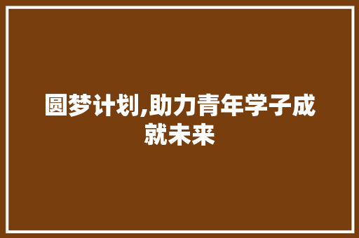 圆梦计划,助力青年学子成就未来