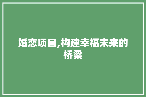 婚恋项目,构建幸福未来的桥梁