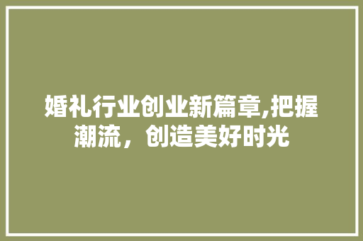 婚礼行业创业新篇章,把握潮流，创造美好时光