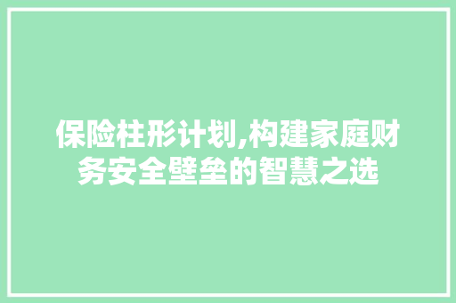 保险柱形计划,构建家庭财务安全壁垒的智慧之选