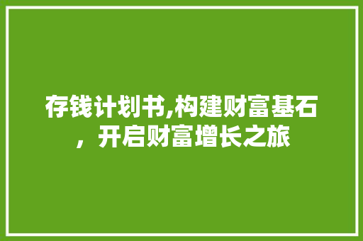 存钱计划书,构建财富基石，开启财富增长之旅