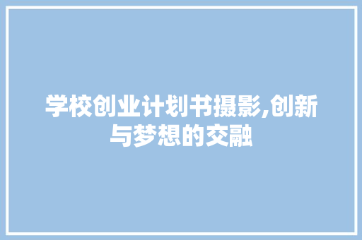 学校创业计划书摄影,创新与梦想的交融