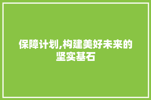保障计划,构建美好未来的坚实基石