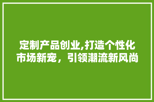 定制产品创业,打造个性化市场新宠，引领潮流新风尚