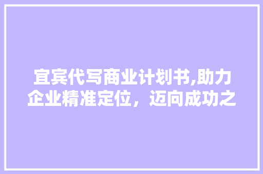 宜宾代写商业计划书,助力企业精准定位，迈向成功之路