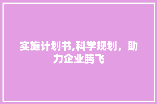 实施计划书,科学规划，助力企业腾飞