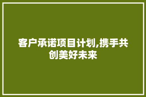 客户承诺项目计划,携手共创美好未来