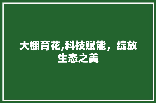 大棚育花,科技赋能，绽放生态之美