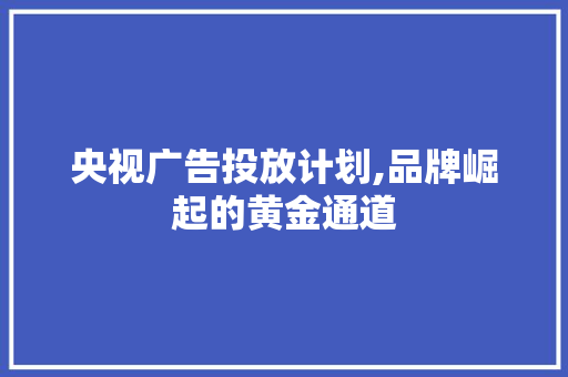 央视广告投放计划,品牌崛起的黄金通道