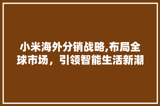 小米海外分销战略,布局全球市场，引领智能生活新潮流