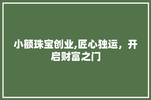 小额珠宝创业,匠心独运，开启财富之门