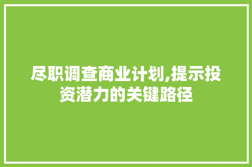 尽职调查商业计划,提示投资潜力的关键路径