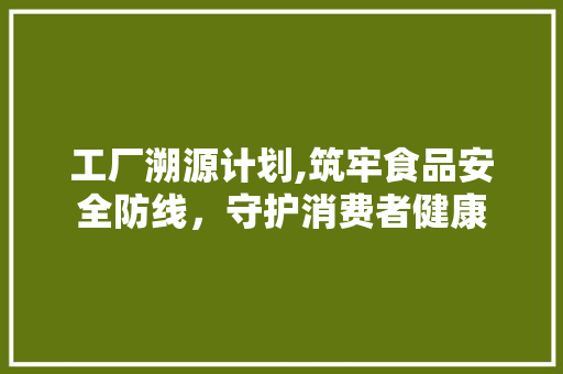 工厂溯源计划,筑牢食品安全防线，守护消费者健康 生活随笔