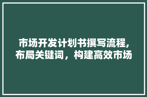 市场开发计划书撰写流程,布局关键词，构建高效市场步骤