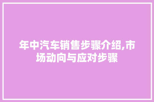 年中汽车销售步骤介绍,市场动向与应对步骤