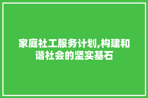家庭社工服务计划,构建和谐社会的坚实基石
