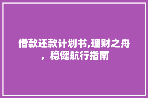 借款还款计划书,理财之舟，稳健航行指南