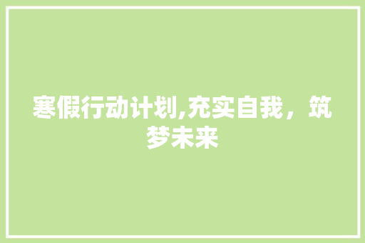 寒假行动计划,充实自我，筑梦未来