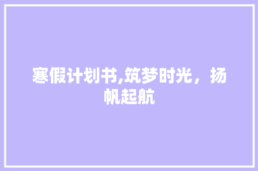 寒假计划书,筑梦时光，扬帆起航