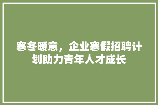 寒冬暖意，企业寒假招聘计划助力青年人才成长