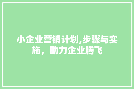 小企业营销计划,步骤与实施，助力企业腾飞