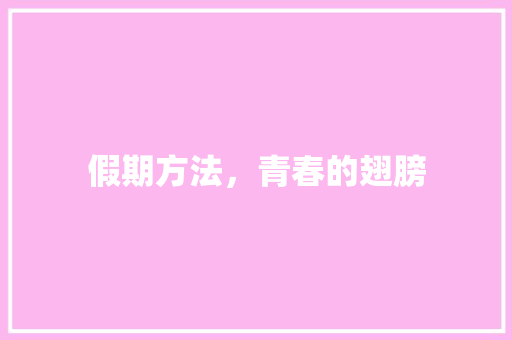假期方法，青春的翅膀