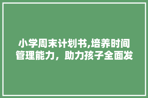 小学周末计划书,培养时间管理能力，助力孩子全面发展