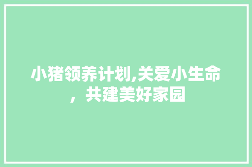 小猪领养计划,关爱小生命，共建美好家园