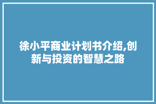 徐小平商业计划书介绍,创新与投资的智慧之路