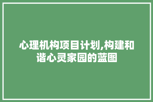 心理机构项目计划,构建和谐心灵家园的蓝图
