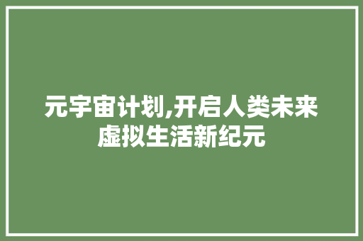 元宇宙计划,开启人类未来虚拟生活新纪元