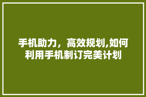 手机助力，高效规划,如何利用手机制订完美计划