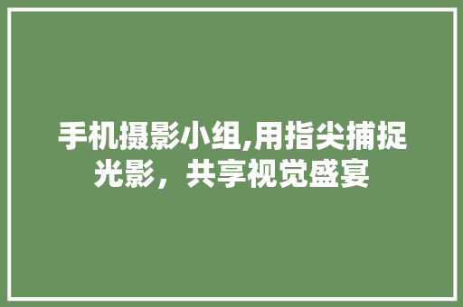手机摄影小组,用指尖捕捉光影，共享视觉盛宴