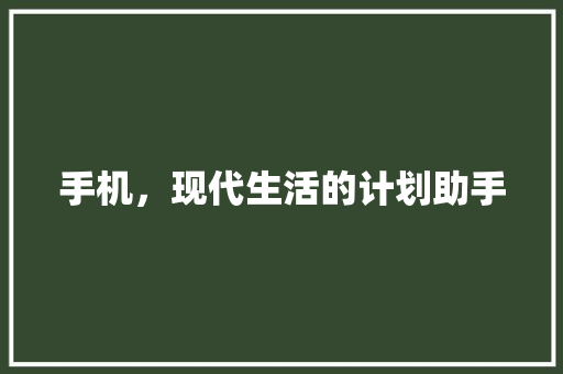 手机，现代生活的计划助手