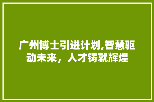 广州博士引进计划,智慧驱动未来，人才铸就辉煌