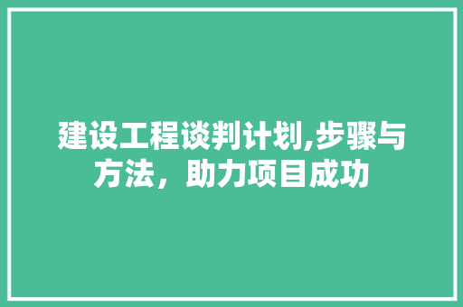 建设工程谈判计划,步骤与方法，助力项目成功