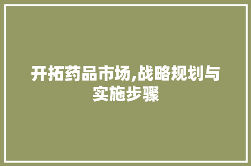 开拓药品市场,战略规划与实施步骤