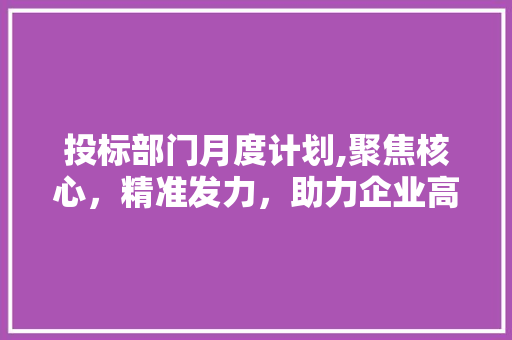 投标部门月度计划,聚焦核心，精准发力，助力企业高质量发展
