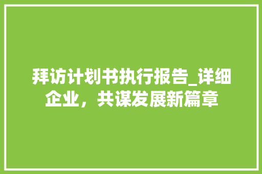 拜访计划书执行报告_详细企业，共谋发展新篇章