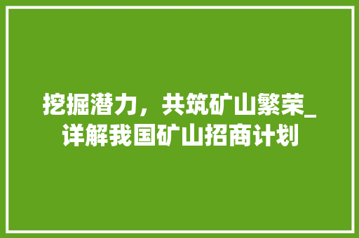 挖掘潜力，共筑矿山繁荣_详解我国矿山招商计划