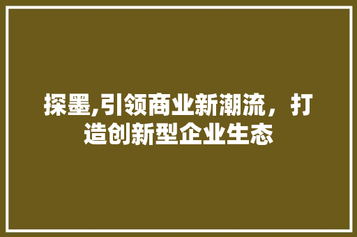 探墨,引领商业新潮流，打造创新型企业生态