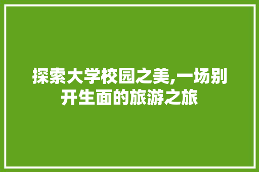 探索大学校园之美,一场别开生面的旅游之旅