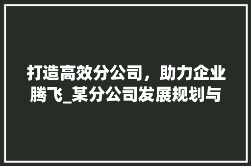 打造高效分公司，助力企业腾飞_某分公司发展规划与方法