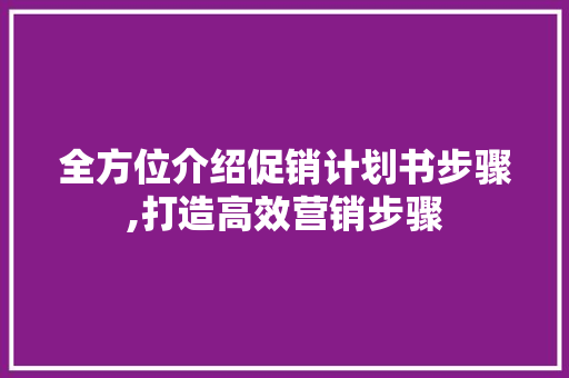 全方位介绍促销计划书步骤,打造高效营销步骤