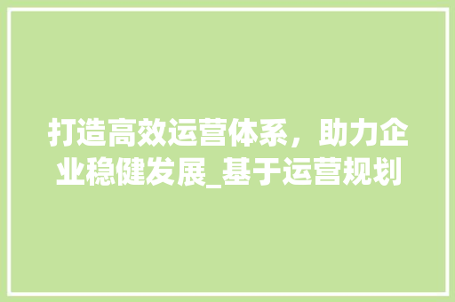 打造高效运营体系，助力企业稳健发展_基于运营规划实施计划的详细讨论 采访稿