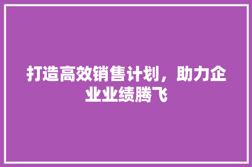打造高效销售计划，助力企业业绩腾飞