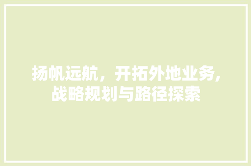 扬帆远航，开拓外地业务,战略规划与路径探索